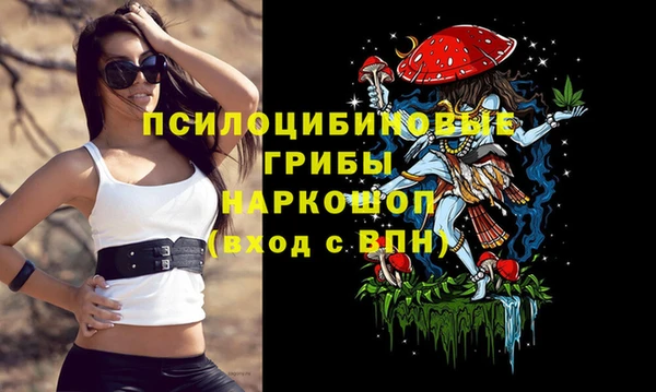 гидропоника Алексеевка