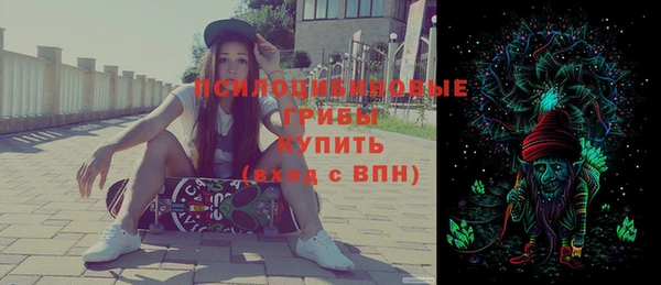 тгк Алексин