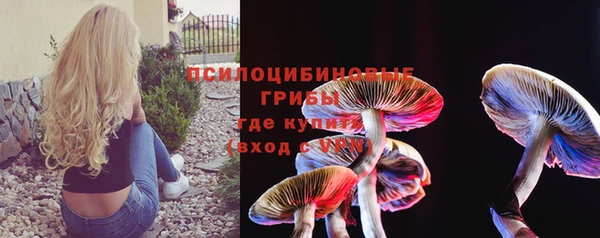 тгк Алексин