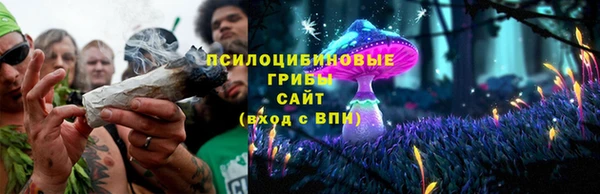 гидропоника Алексеевка