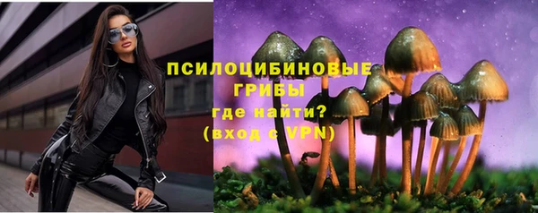 тгк Алексин