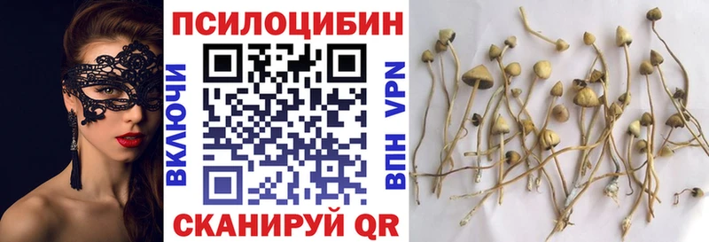 omg как зайти  Дмитров  Галлюциногенные грибы GOLDEN TEACHER  закладка 